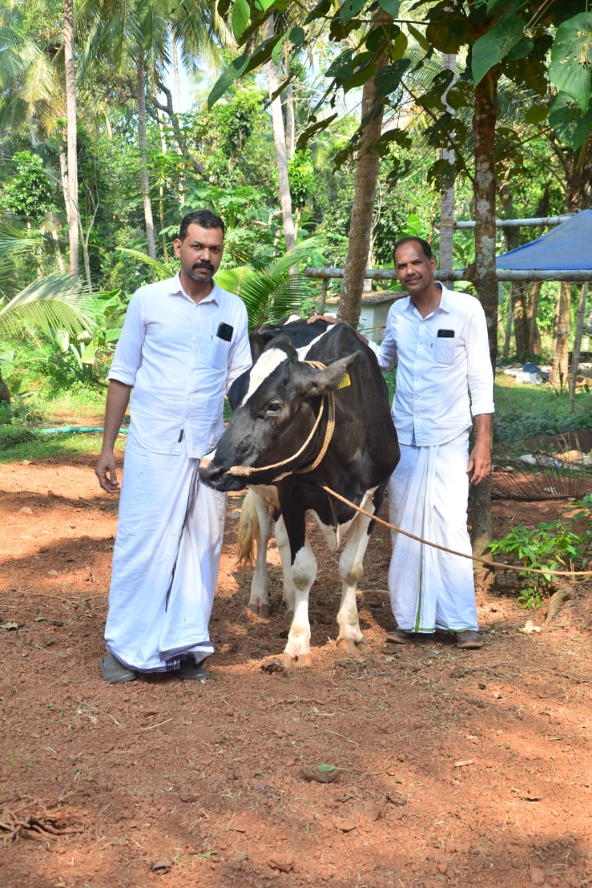 പശുവളർത്തലിന്‍റെ വള്ളിക്കുന്ന് മാതൃക